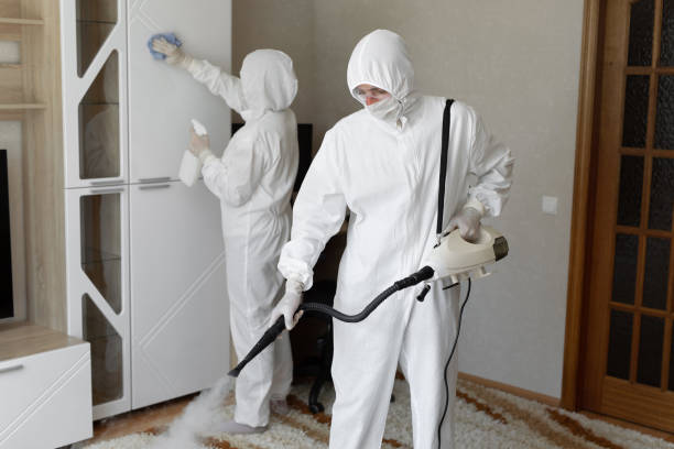 Trusted Sewage Cleanup service in Mendon, IL - Four Month Blood Cleanse